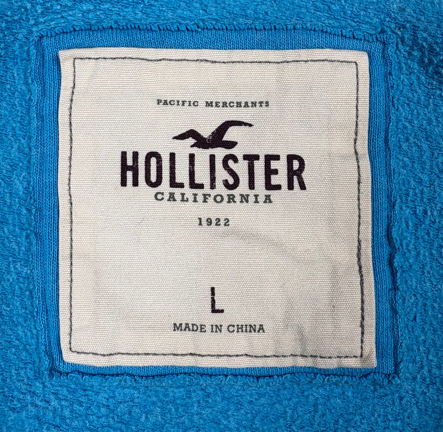 Light Blue Hollister Hoodie