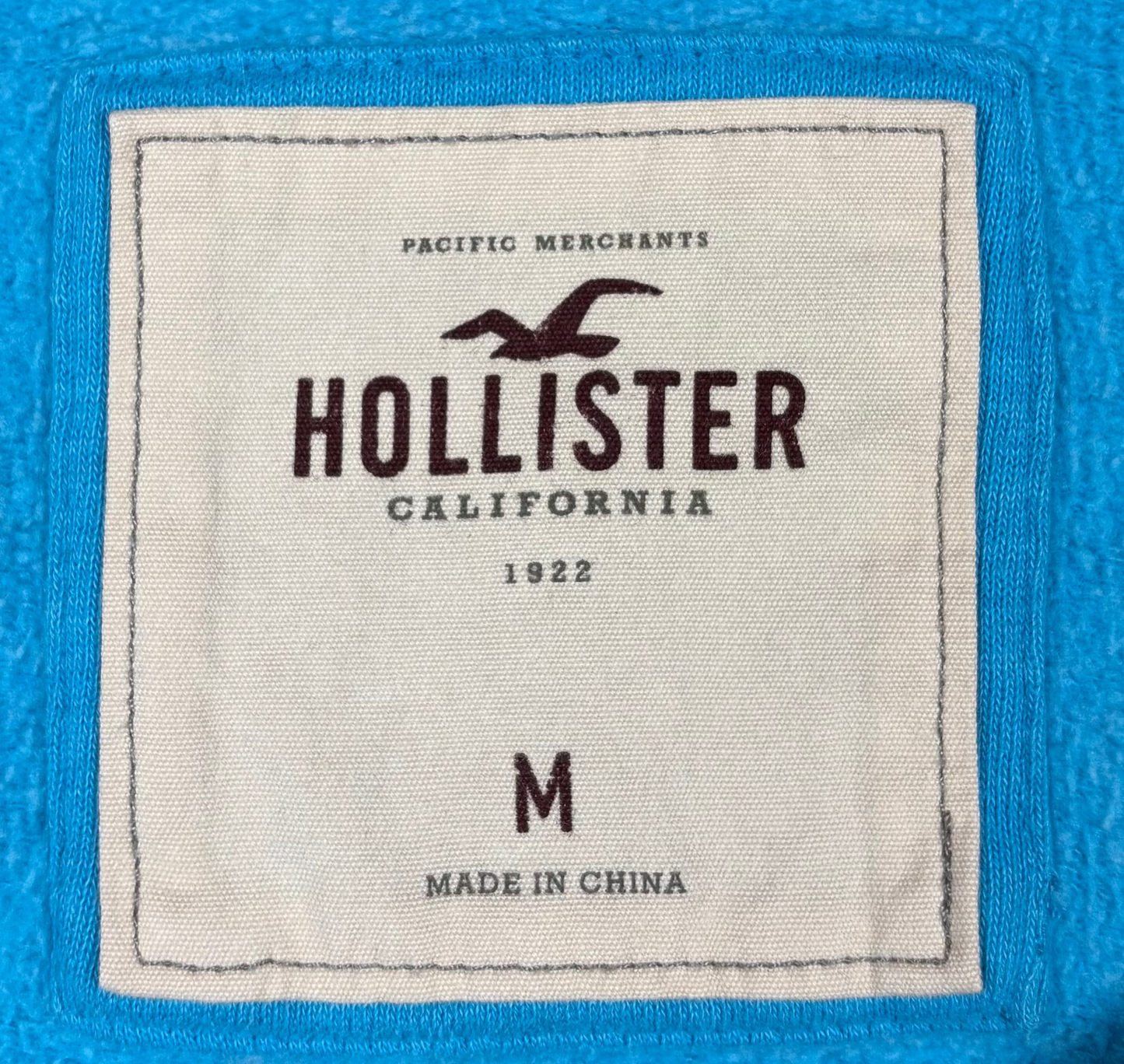 Light Blue Hollister Hoodie